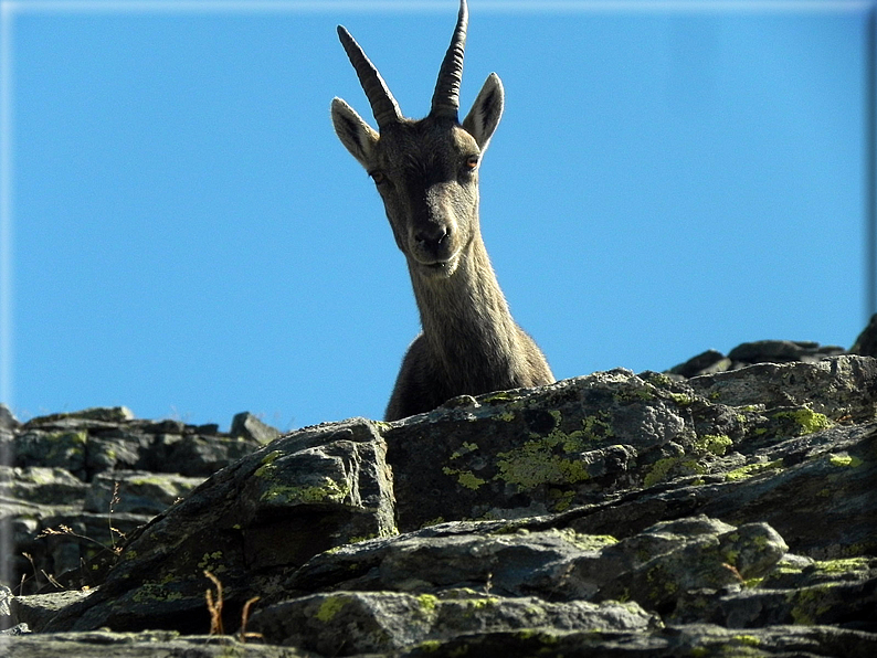 foto Passo dei Salati e Col d'Olen